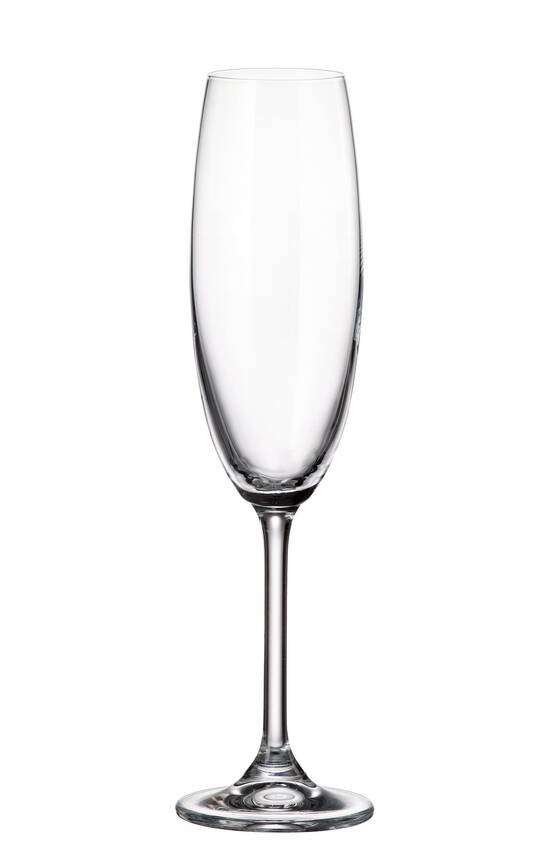 gastro-flute-220-ml-igallery-image0000014.jpeg